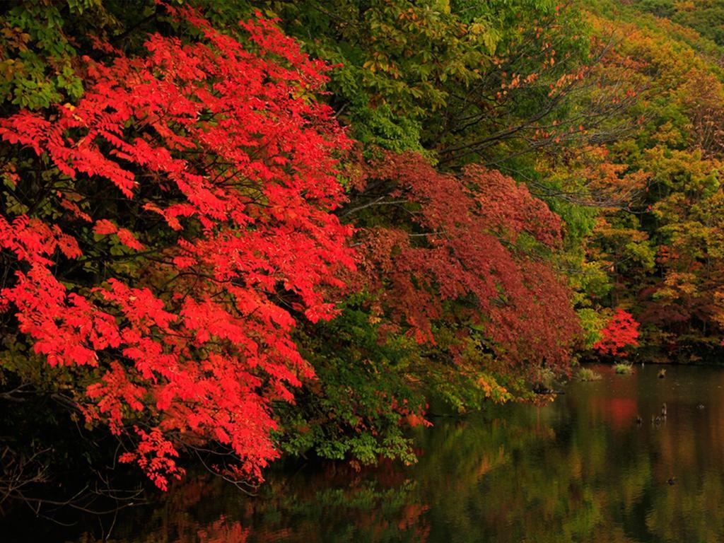 Active Resorts Urabandai Kitashiobara Buitenkant foto